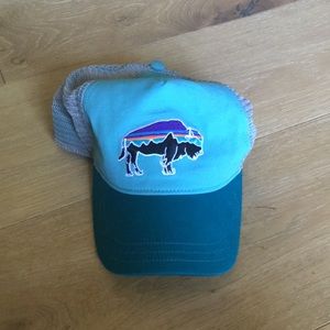 Patagonia women’s Fitz Roy bison trucker hat
